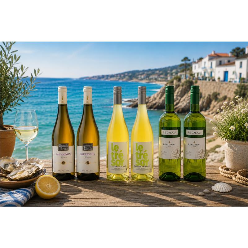Zomerse proefdoos Sauvignon Blanc